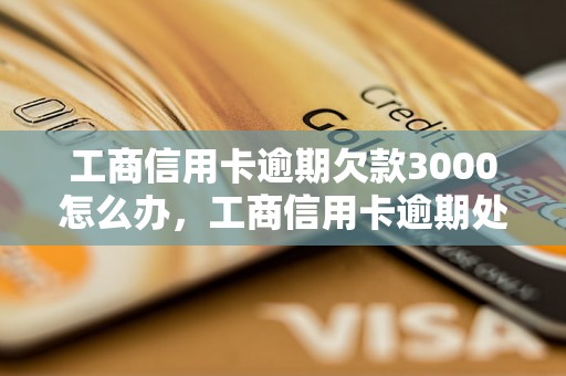 工商信用卡逾期欠款3000怎么办，工商信用卡逾期处理方法分享