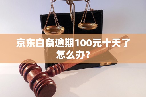 京东白条逾期100元十天了怎么办？