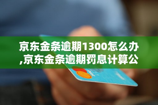 京东金条逾期1300怎么办,京东金条逾期罚息计算公式