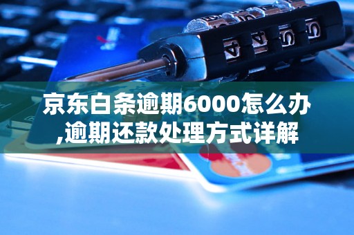 京东白条逾期6000怎么办,逾期还款处理方式详解