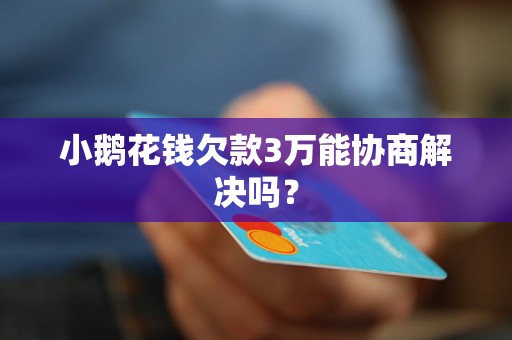 小鹅花钱欠款3万能协商解决吗？