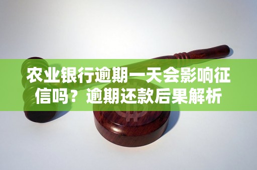 农业银行逾期一天会影响征信吗？逾期还款后果解析