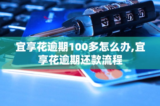 宜享花逾期100多怎么办,宜享花逾期还款流程