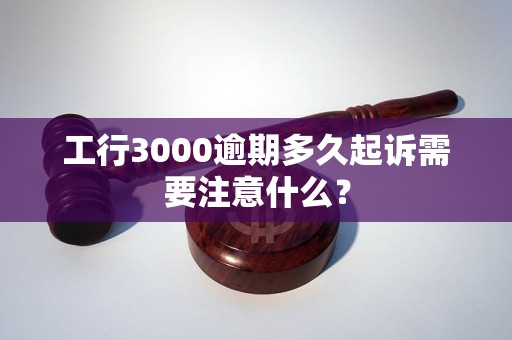 工行3000逾期多久起诉需要注意什么？