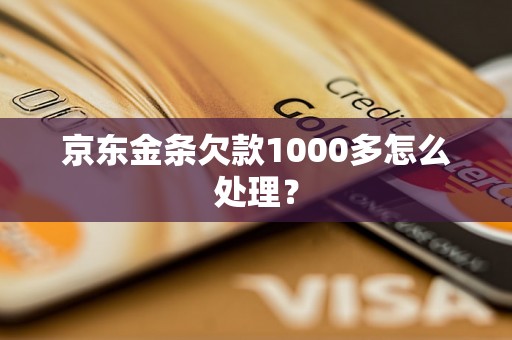 京东金条欠款1000多怎么处理？