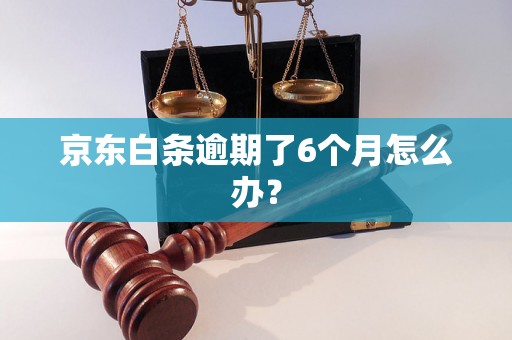 京东白条逾期了6个月怎么办？