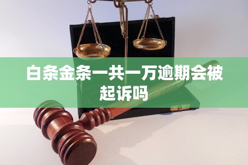 白条金条一共一万逾期会被起诉吗