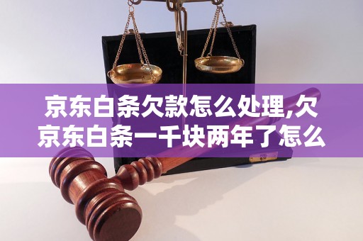 京东白条欠款怎么处理,欠京东白条一千块两年了怎么办