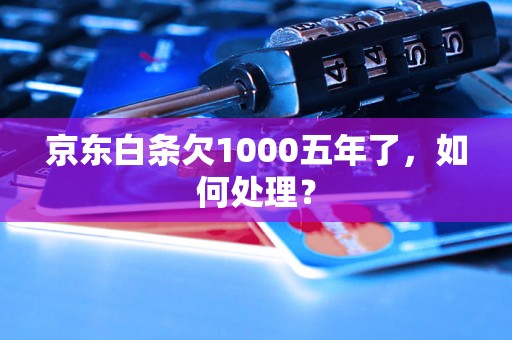 京东白条欠1000五年了，如何处理？