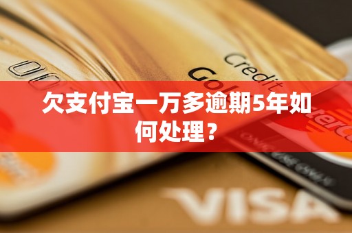 欠支付宝一万多逾期5年如何处理？