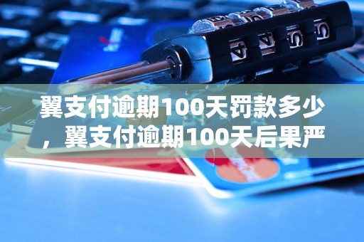 翼支付逾期100天罚款多少，翼支付逾期100天后果严重吗