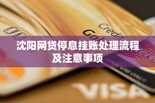 沈阳网贷停息挂账处理流程及注意事项