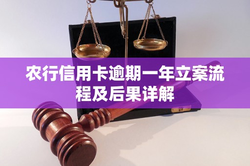 农行信用卡逾期一年立案流程及后果详解