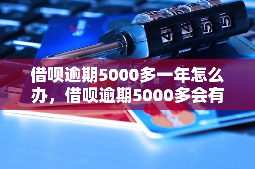 借呗逾期5000多一年怎么办，借呗逾期5000多会有什么后果