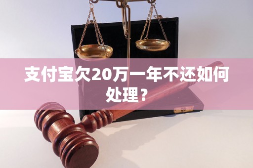 支付宝欠20万一年不还如何处理？