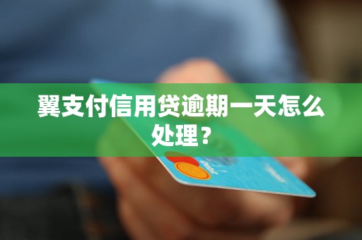 翼支付信用贷逾期一天怎么处理？