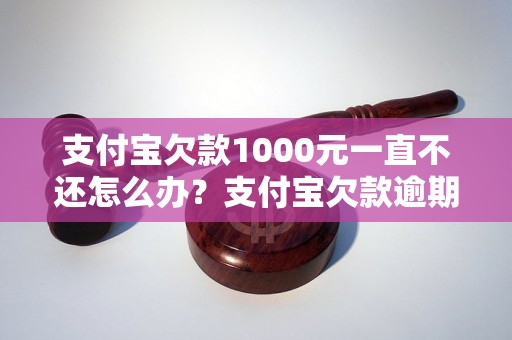 支付宝欠款1000元一直不还怎么办？支付宝欠款逾期处理攻略