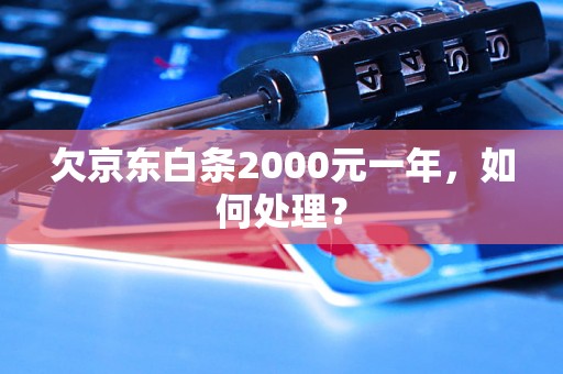 欠京东白条2000元一年，如何处理？