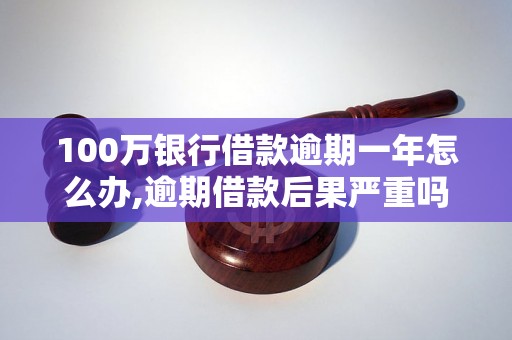 100万银行借款逾期一年怎么办,逾期借款后果严重吗