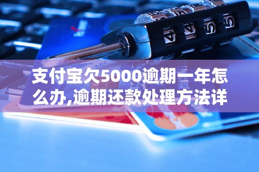 支付宝欠5000逾期一年怎么办,逾期还款处理方法详解