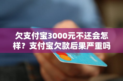 欠支付宝3000元不还会怎样？支付宝欠款后果严重吗？