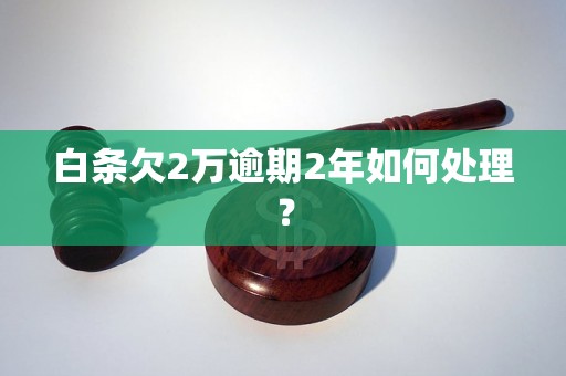 白条欠2万逾期2年如何处理？