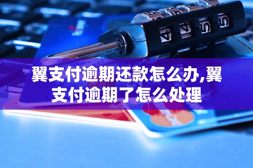 翼支付逾期还款怎么办,翼支付逾期了怎么处理