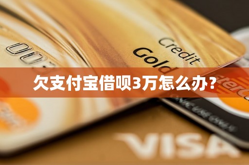 欠支付宝借呗3万怎么办？