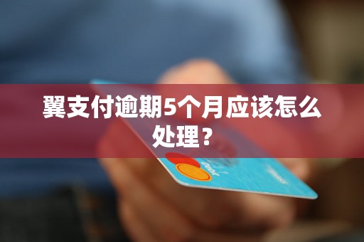 翼支付逾期5个月应该怎么处理？