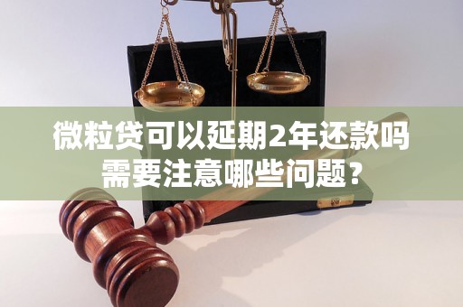 微粒贷可以延期2年还款吗需要注意哪些问题？