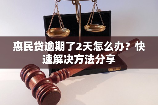 惠民贷逾期了2天怎么办？快速解决方法分享