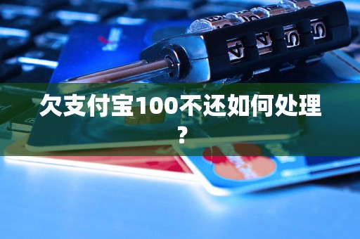 欠支付宝100不还如何处理？