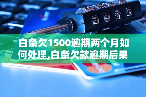 白条欠1500逾期两个月如何处理,白条欠款逾期后果及解决方法