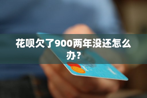 花呗欠了900两年没还怎么办？