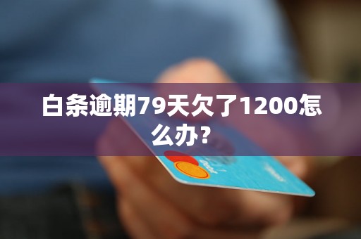 白条逾期79天欠了1200怎么办？