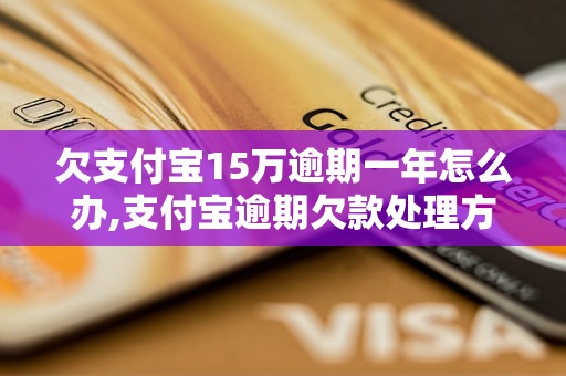 欠支付宝15万逾期一年怎么办,支付宝逾期欠款处理方法