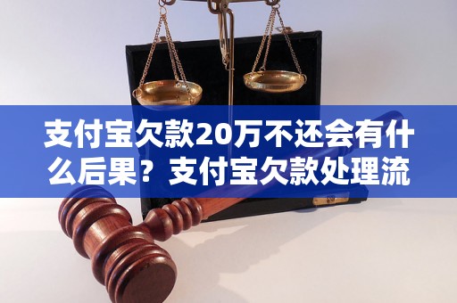 支付宝欠款20万不还会有什么后果？支付宝欠款处理流程详解