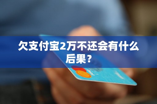 欠支付宝2万不还会有什么后果？