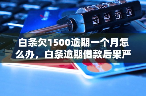 白条欠1500逾期一个月怎么办，白条逾期借款后果严重吗