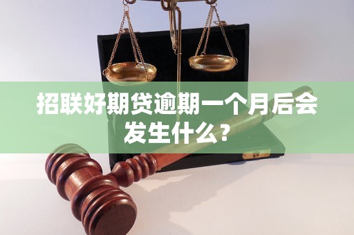 招联好期贷逾期一个月后会发生什么？