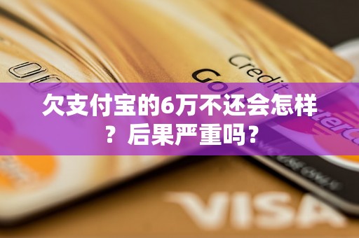 欠支付宝的6万不还会怎样？后果严重吗？