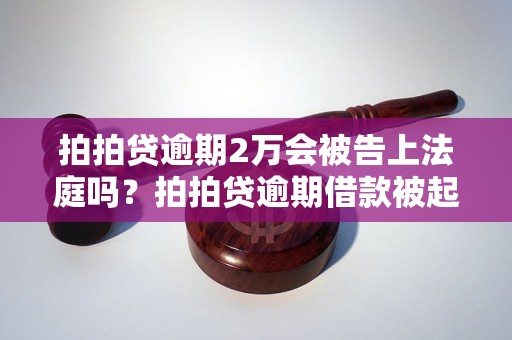 拍拍贷逾期2万会被告上法庭吗？拍拍贷逾期借款被起诉后果如何处理