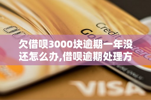 欠借呗3000块逾期一年没还怎么办,借呗逾期处理方法指南