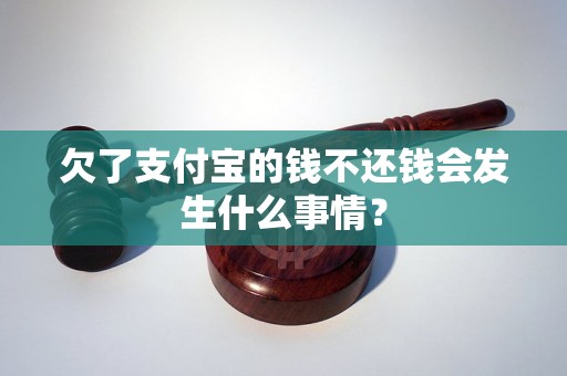 欠了支付宝的钱不还钱会发生什么事情？