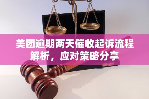 美团逾期两天催收起诉流程解析，应对策略分享