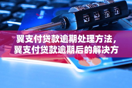 翼支付贷款逾期处理方法，翼支付贷款逾期后的解决方案