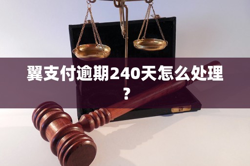 翼支付逾期240天怎么处理？