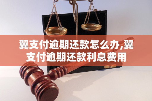 翼支付逾期还款怎么办,翼支付逾期还款利息费用