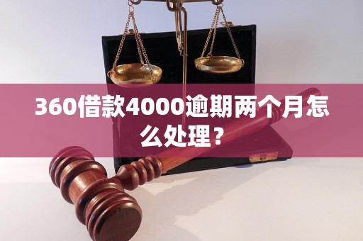 360借款4000逾期两个月怎么处理？