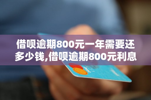 借呗逾期800元一年需要还多少钱,借呗逾期800元利息计算公式